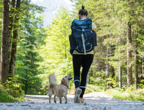 Paws and Play: December Adventures for You and Your Pet in Newport, Oregon