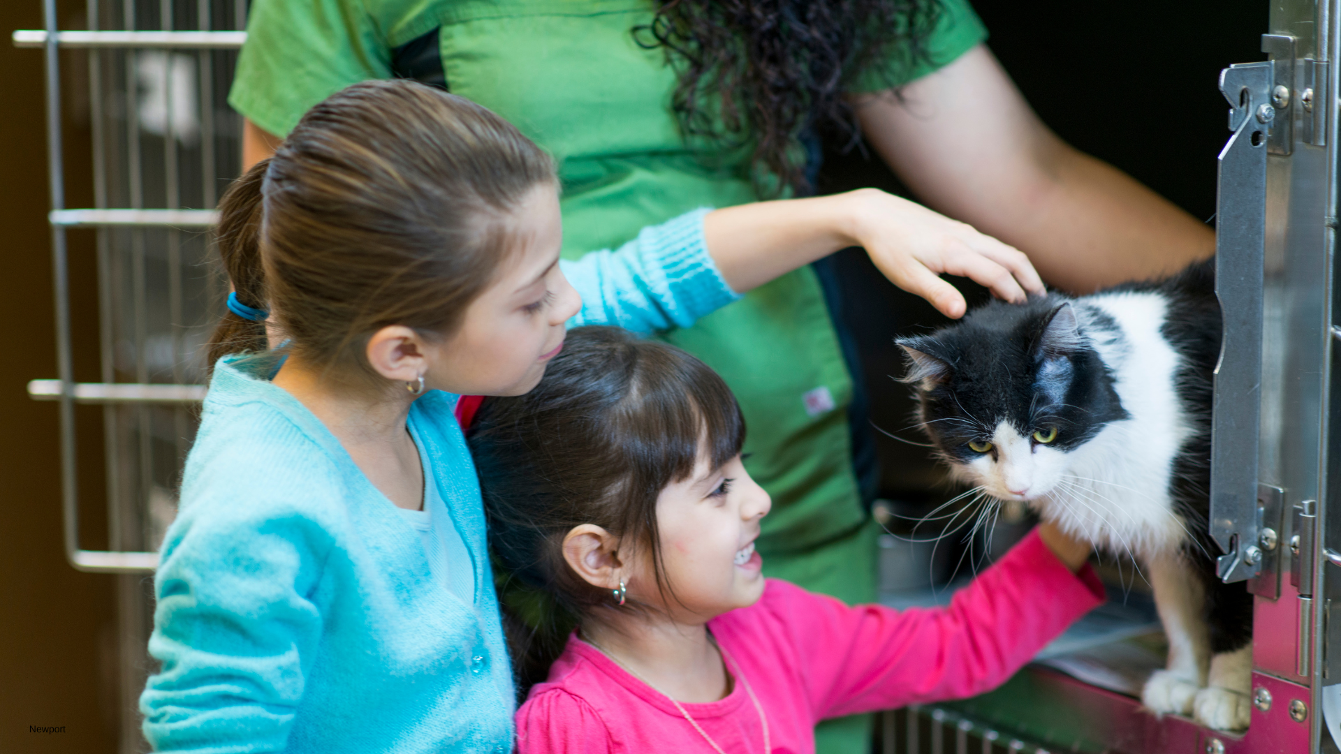 Newly adopted pet at Newport Veterinary Hospital, Newport Oregon