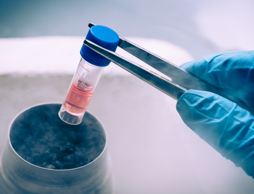 Stem Cell Therapy for Dogs and Cats