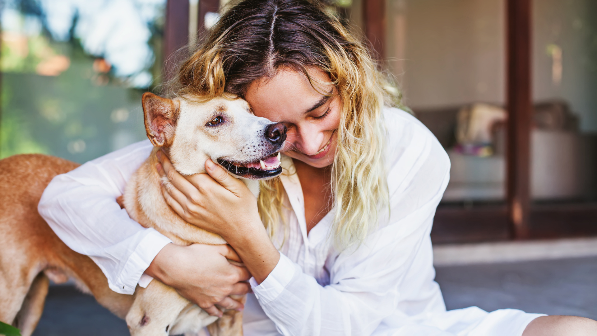 Top 10 Benefits of Owning a Pet