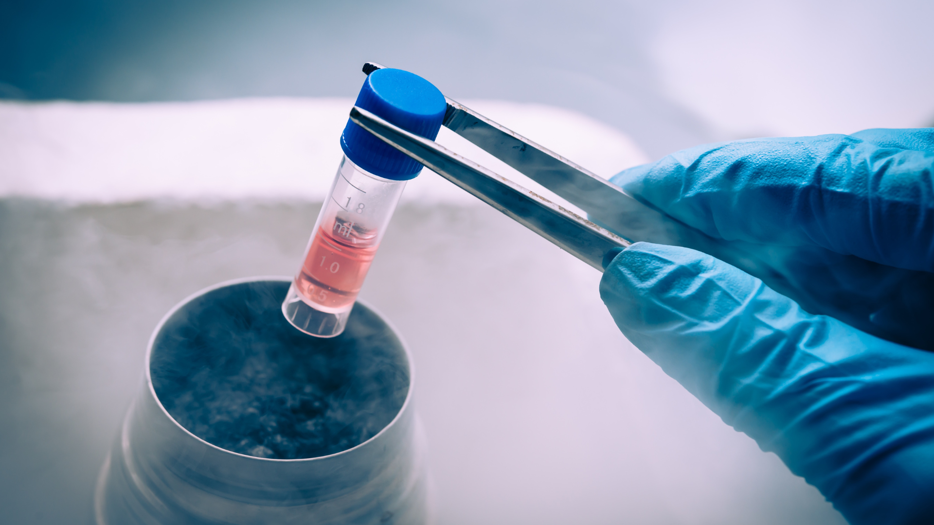 Stem cell therapy for dogs and cats at Newport Veterinary Hospital